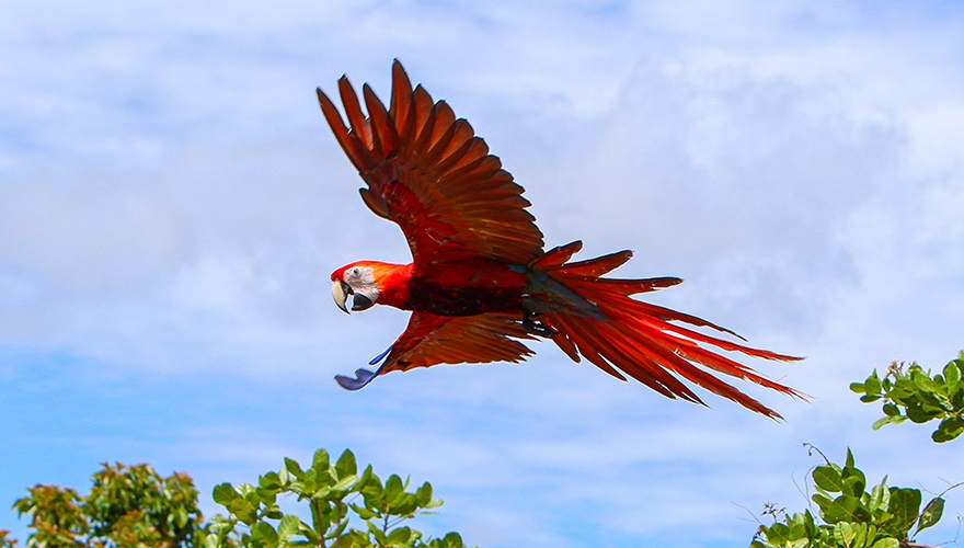 Turismo, Honduras