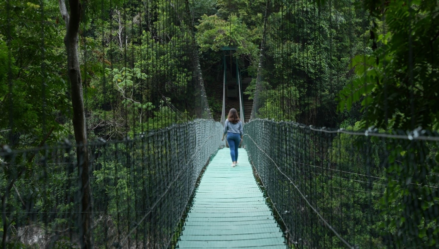 Puente Colgante 