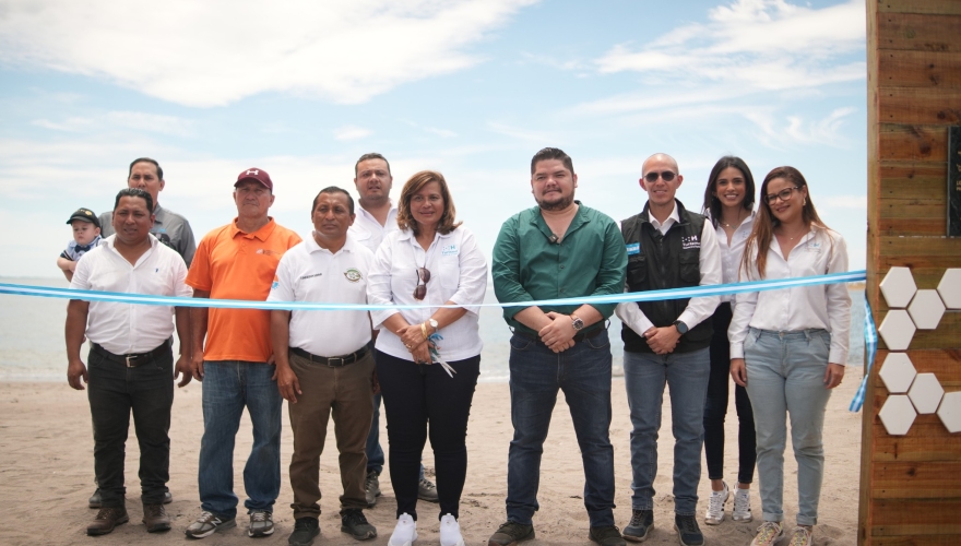 Proyecto Campamento Playero 